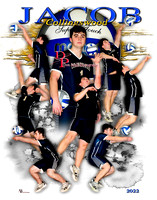 VOLLEYBALL